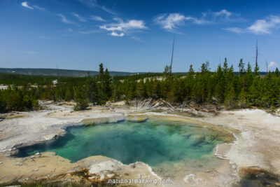 Emerald Spring in Yellowstone National Park in Wyoming