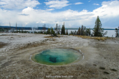 Ephedra Spring in Yellowstone National Park in Wyoming