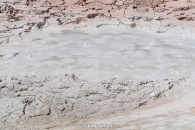 Fountain Paint Pots in Yellowstone National Park in Wyoming