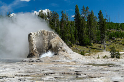 Giant Geyser in Yellowstone National Park in Wyoming