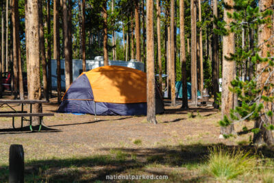 Grant Village Campground in Yellowstone National Park in Wyoming