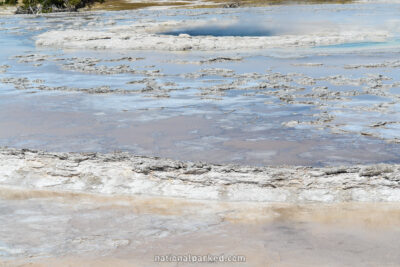 Great Fountain Geyser in Yellowstone National Park in Wyoming