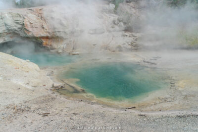 Green Dragon Spring in Yellowstone National Park in Wyoming