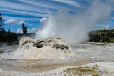 Grotto Geyser in Yellowstone National Park in Wyoming