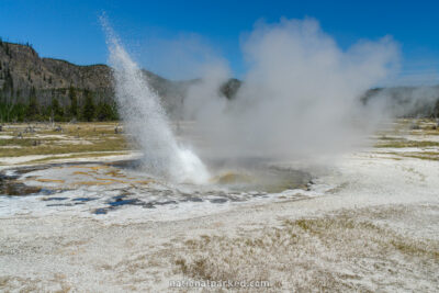Jewel Geyser in Yellowstone National Park in Wyoming