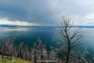 Lake Butte Overlook in Yellowstone National Park in Wyoming