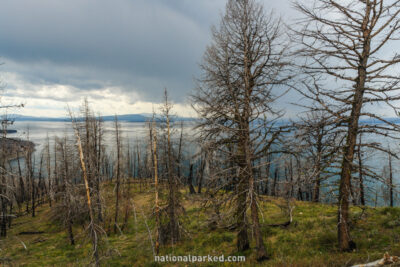 Lake Butte Overlook in Yellowstone National Park in Wyoming