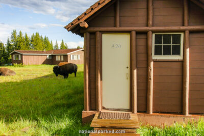 Lake Lodge Cabins in Yellowstone National Park in Wyoming