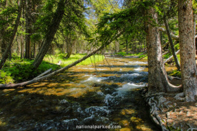 Lava Creek in Yellowstone National Park in Wyoming