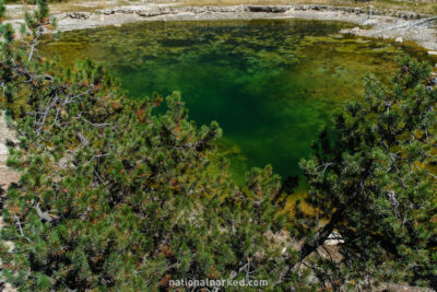 Leather Pool in Yellowstone National Park in Wyoming