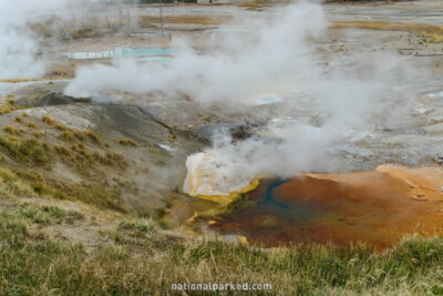 Ledge Geyser in Yellowstone National Park in Wyoming