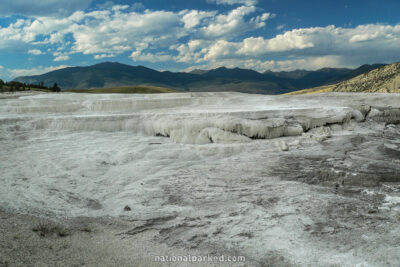 Minerva Terrace in Yellowstone National Park in Wyoming