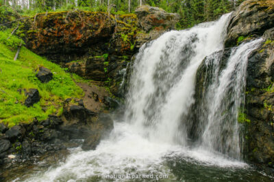 Moose Falls in Yellowstone National Park in Wyoming