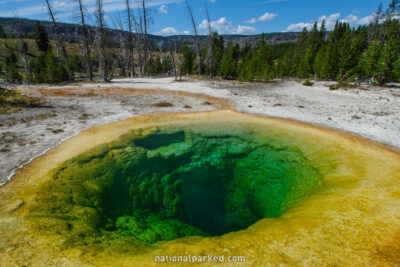 Morning Glory Pool in Yellowstone National Park in Wyoming