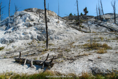 New Highland Terrace in Yellowstone National Park in Wyoming