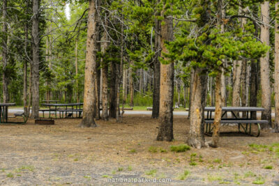 Norris Picnic Area in Yellowstone National Park in Wyoming