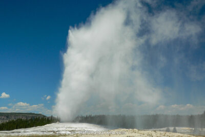 Old Faithful in Yellowstone National Park in Wyoming