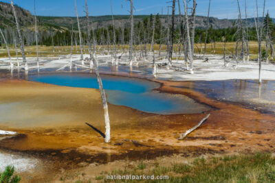Opalescent Pool in Yellowstone National Park in Wyoming