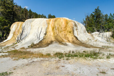 Orange Spring Mound in Yellowstone National Park in Wyoming