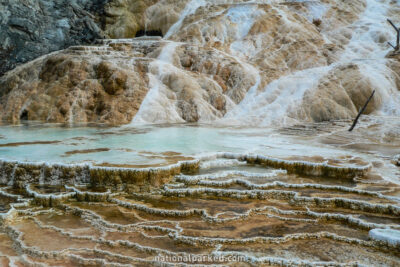 Palette Springs in Yellowstone National Park in Wyoming