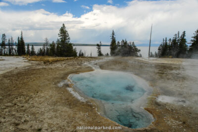 Perforated Pool in Yellowstone National Park in Wyoming