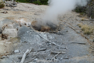 Puff n' Stuff Geyser in Yellowstone National Park in Wyoming