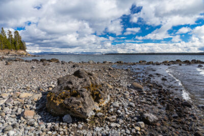 Pumice Point, Yellowstone National Park, Wyoming