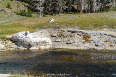 Riverside Geyser in Yellowstone National Park in Wyoming