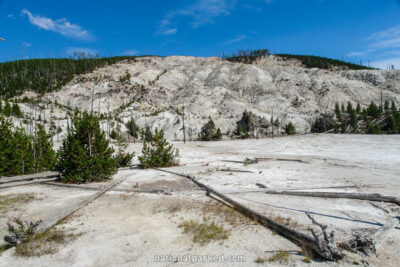 Roaring Mountain in Yellowstone National Park in Wyoming