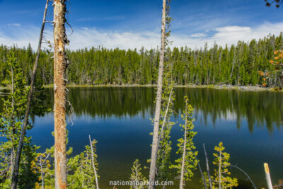 Scaup Lake in Yellowstone National Park in Wyoming