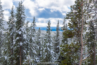 Shoshone Point, Yellowstone National Park, Wyoming