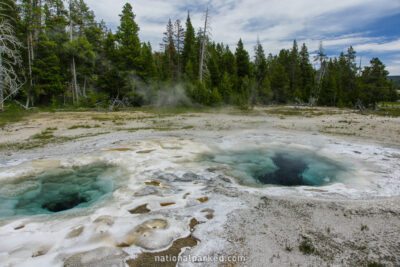 Spasmodic Geyser in Yellowstone National Park in Wyoming