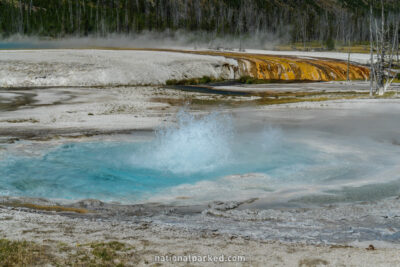 Spouter Geyser in Yellowstone National Park in Wyoming