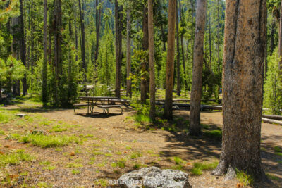 Spring Creek Picnic Area in Yellowstone National Park in Wyoming