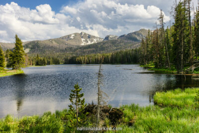 Sylvan Lake in Yellowstone National Park in Wyoming