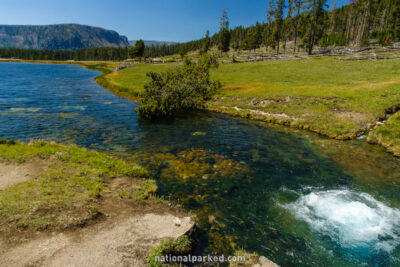Terrace Spring in Yellowstone National Park in Wyoming