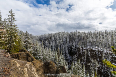 Virginia Cascade area in Yellowstone National Park in Wyoming