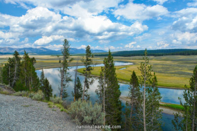 Yellowstone River Meadow in Yellowstone National Park in Wyoming