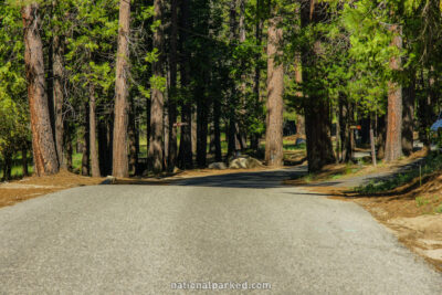 Chilnualna Falls Road in Yosemite National Park in California