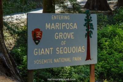 Mariposa Grove in Yosemite National Park in California