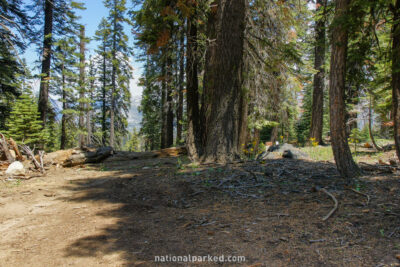 Mono Meadow Trailhead in Yosemite National Park in California