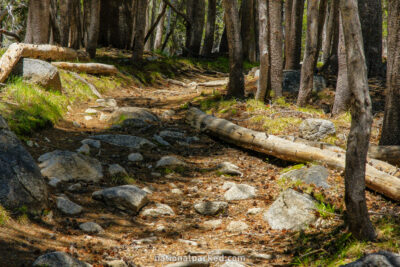Murphy Creek Trailhead in Yosemite National Park in California