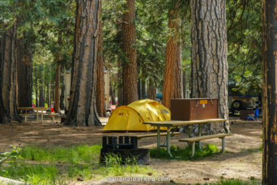 North Pines Campground in Yosemite National Park in California