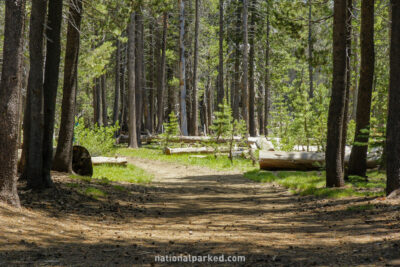 Ostrander Lake Trailhead in Yosemite National Park in California