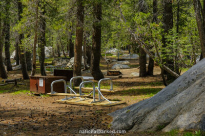 Porcupine Flat Campground in Yosemite National Park in California