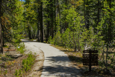 Sunrise Trailhead in Yosemite National Park in California