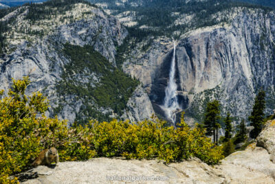 Taft Point in Yosemite National Park in California