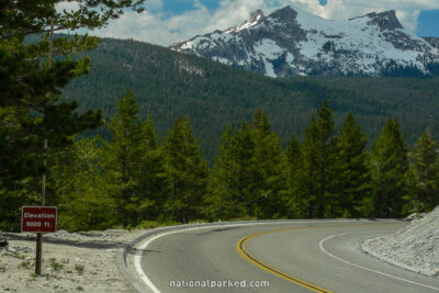 Tioga Road Views in Yosemite National Park in California