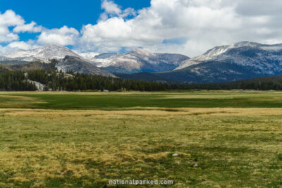 Tuolumne Meadows in Yosemite National Park in California
