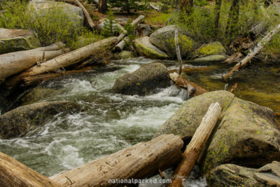 Yosemite Creek along Tioga Road in Yosemite National Park in California